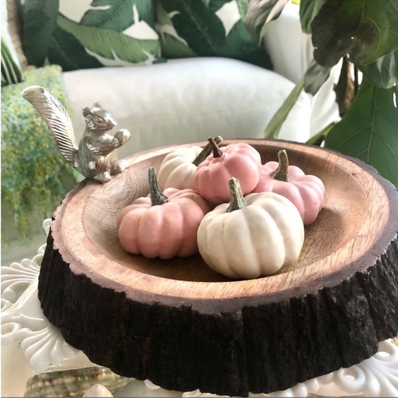 New! Sweet Silver Squirrel Solid Wood Nut Bowl Bark Like Wood - Picture 1 of 8